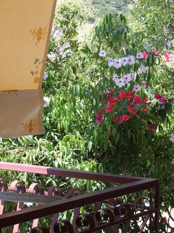 Stamoulis Apartments Αγία Ευφημία Εξωτερικό φωτογραφία